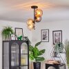 Koyoto Plafondlamp, Kogellampje 31 cm Amber, Duidelijk, Rookkleurig, 4-lichts