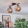 Ripoll Plafondlamp, Kogellampje Rookkleurig, 2-lichts