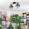 Gastor Plafondlamp, Kogellampje Blauw, Groen, Duidelijk, 2-lichts