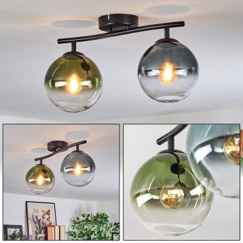 Gastor Plafondlamp, Kogellampje Blauw, Groen, Duidelijk, 2-lichts
