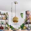 Koyoto Hanglamp, Kogellampje, Hanglamp Goud, 1-licht