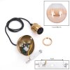 Koyoto Hanglamp, Kogellampje, Hanglamp Goud, 1-licht