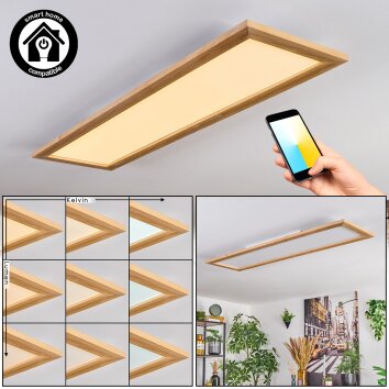 Belan Plafondlamp, Paneel LED Natuurlijke kleuren, Wit, 1-licht