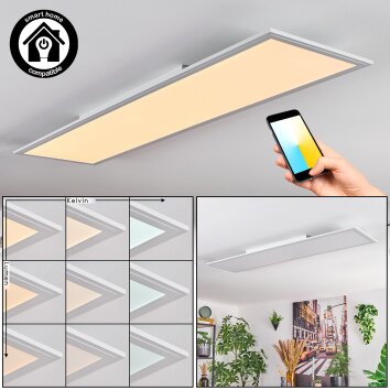 Belan Plafondlamp, Paneel LED Wit, 1-licht