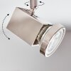 Danil Plafondlamp, Plafondspot LED Nikkel mat, 4-lichts
