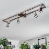 Danil Plafondlamp, Plafondspot LED Nikkel mat, 6-lichts