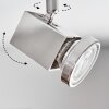 Danil Plafondlamp, Plafondspot LED Nikkel mat, 6-lichts