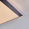 Castasegna Plafondlamp, Paneel LED Zwart, Wit, 1-licht