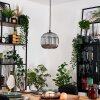 Trion Hanglamp, Hanglamp Zwart, 1-licht