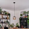 Trion Hanglamp, Hanglamp Zwart, 1-licht