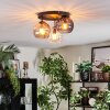 Koyoto Plafondlamp, Kogellampje 30 cm Amber, Duidelijk, Rookkleurig, 3-lichts