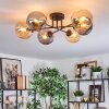 Gastor Plafondlamp, Kogellampje Amber, Rookkleurig, 6-lichts
