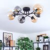 Gastor Plafondlamp, Kogellampje Amber, Duidelijk, Rookkleurig, 6-lichts