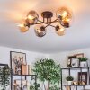 Gastor Plafondlamp, Kogellampje Amber, Duidelijk, Rookkleurig, 6-lichts