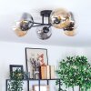 Gastor Plafondlamp, Kogellampje Amber, Duidelijk, Rookkleurig, 6-lichts