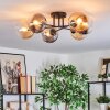 Gastor Plafondlamp, Kogellampje Amber, Duidelijk, Rookkleurig, 6-lichts