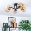 Gastor Plafondlamp, Kogellampje Amber, Duidelijk, 6-lichts