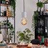 Lagradioule Hanglamp, Hanglamp Zwart, 1-licht