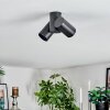 Daril Plafondlamp, Plafondspot Zwart, 2-lichts