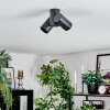 Daril Plafondlamp, Plafondspot Zwart, 2-lichts