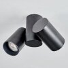 Daril Plafondlamp, Plafondspot Zwart, 2-lichts