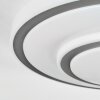 Borin Plafondlamp LED Grijs, Wit, 1-licht