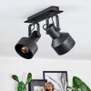 Tylar Plafondlamp, Plafondspot Zwart, 2-lichts