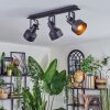 Tylar Plafondlamp, Plafondspot Zwart, 3-lichts