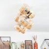 Koyoto Plafondlamp, Kogellampje Goud, Zwart, 8-lichts