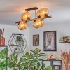 Koyoto Plafondlamp, Kogellampje Goud, Zwart, 8-lichts