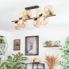 Koyoto Plafondlamp, Kogellampje Goud, Zwart, 8-lichts