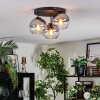 Koyoto Plafondlamp, Kogellampje 30 cm Duidelijk, Rookkleurig, 3-lichts