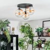 Gastor Plafondlamp, Kogellampje 30 cm Amber, Duidelijk, 3-lichts