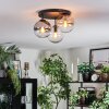 Gastor Plafondlamp, Kogellampje Amber, Duidelijk, Rookkleurig, 3-lichts