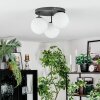 Gastor Plafondlamp, Kogellampje Wit, 3-lichts