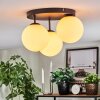 Gastor Plafondlamp, Kogellampje Wit, 3-lichts