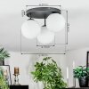 Gastor Plafondlamp, Kogellampje Wit, 3-lichts