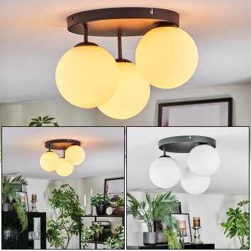 Gastor Plafondlamp, Kogellampje Wit, 3-lichts