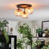 Koyoto Plafondlamp, Kogellampje 30 cm Amber, Duidelijk, 3-lichts