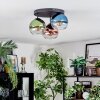 Koyoto Plafondlamp, Kogellampje 30 cm Blauw, Groen, Duidelijk, Koperkleurig, 3-lichts