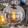 Apedo Hanglamp, Kogellampje, Hanglamp Amber, Rookkleurig, 6-lichts