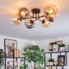 Koyoto Plafondlamp, Kogellampje Amber, Duidelijk, Rookkleurig, 6-lichts