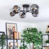 Gastor Plafondlamp, Kogellampje Duidelijk, Rookkleurig, 6-lichts