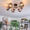 Gastor Plafondlamp, Kogellampje Duidelijk, Rookkleurig, 6-lichts