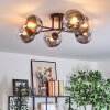 Gastor Plafondlamp, Kogellampje Duidelijk, Rookkleurig, 6-lichts