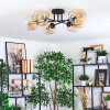 Koyoto Plafondlamp, Kogellampje Amber, Duidelijk, 6-lichts