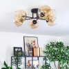 Koyoto Plafondlamp, Kogellampje Amber, Duidelijk, 6-lichts
