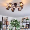 Gastor Plafondlamp, Kogellampje Chroom, Duidelijk, Rookkleurig, 6-lichts