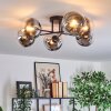 Gastor Plafondlamp, Kogellampje Chroom, Duidelijk, Rookkleurig, 6-lichts