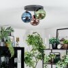 Gastor Plafondlamp, Kogellampje Blauw, Groen, Koperkleurig, 3-lichts